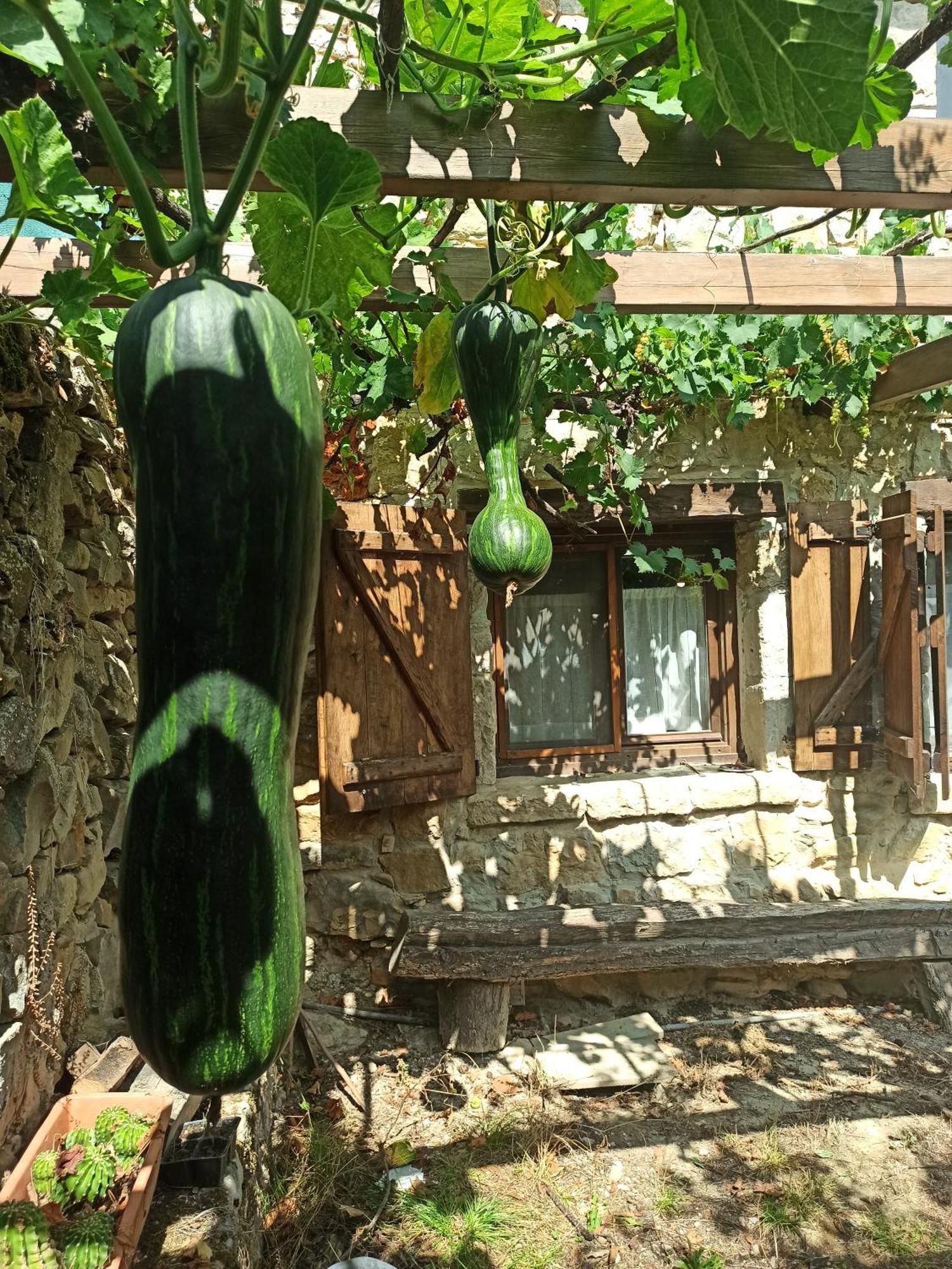 Casa Rural Ttipiaenea Landetxea Ariz  외부 사진
